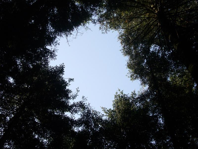 P1030816.JPG