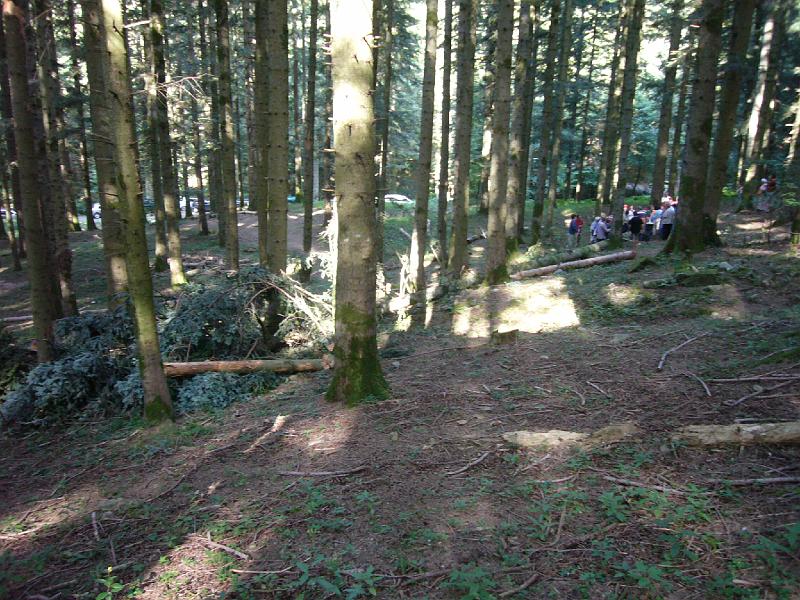 P1030828.JPG