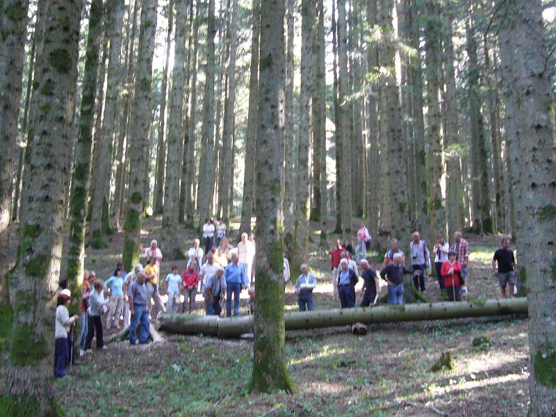 P1030830.JPG