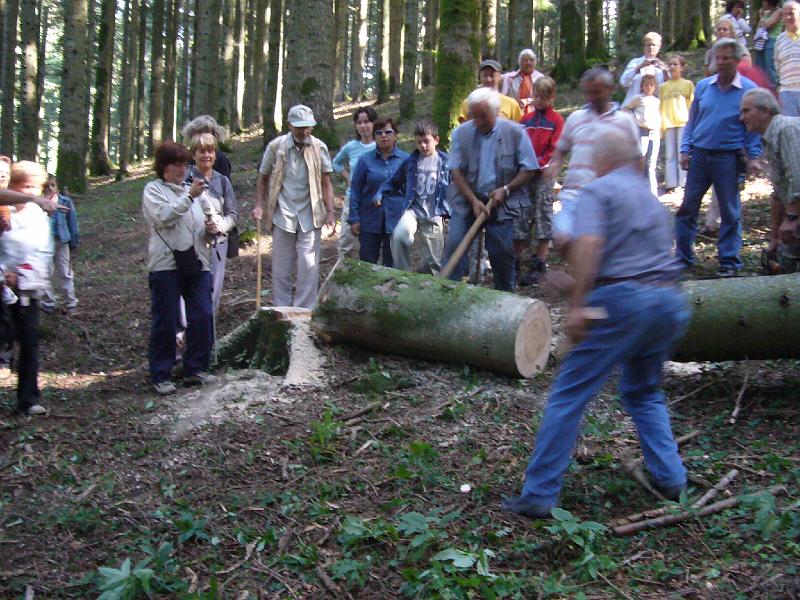 P1030832.JPG