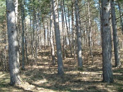 La cima di Poggio Tondo